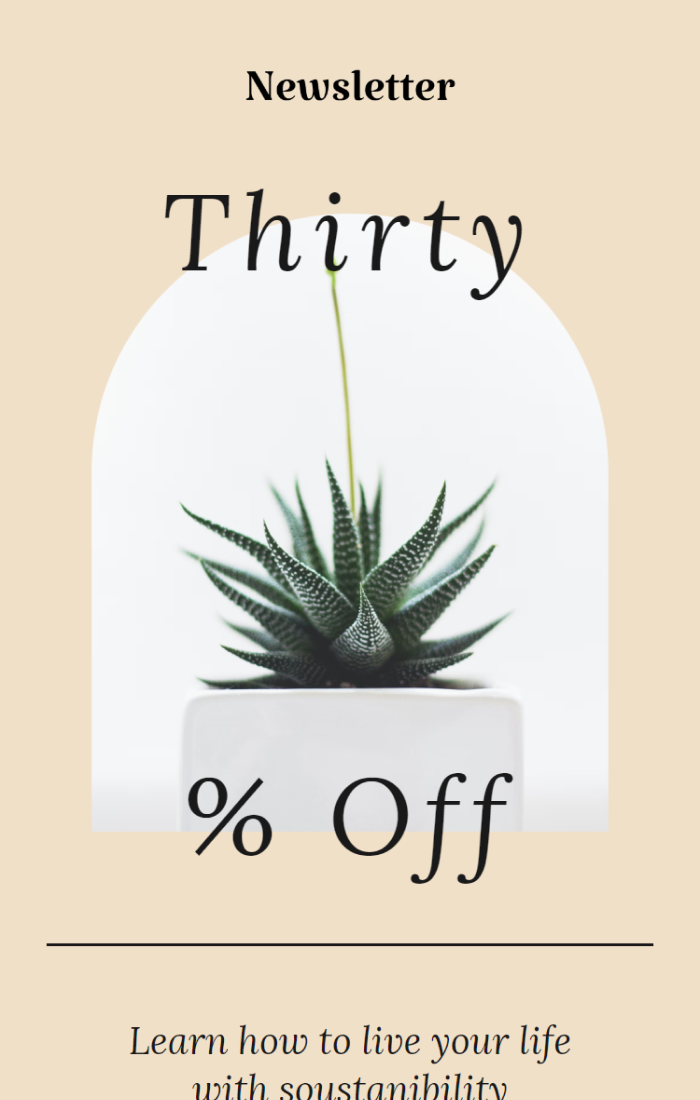 35 Amazing Customizable Email Newsletter Templates Maool